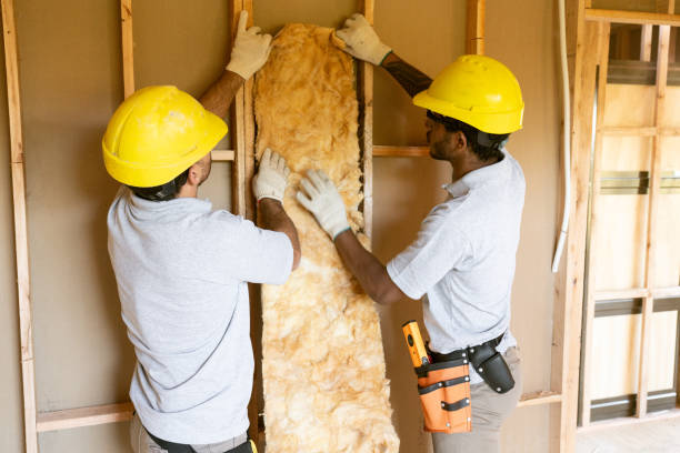 Types of Insulation We Offer in Wyboo, SC